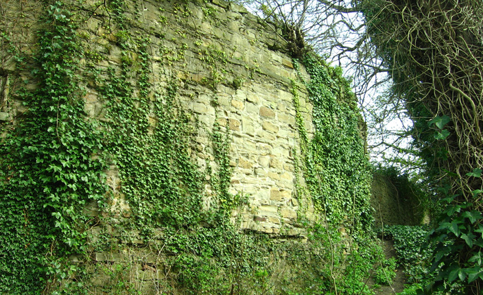 View of the Castle Walls at the top of the river banks. After the river, itself, these would have formed a second line of defence. Evidently, the fortifications were effective: Durham Castle was never taken.
